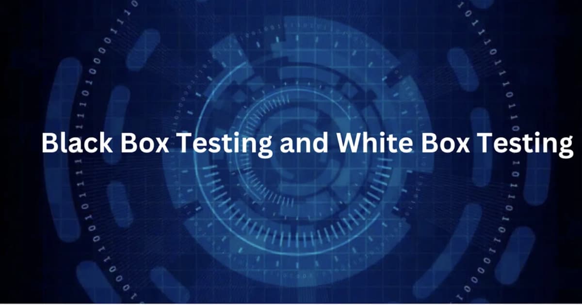 Cover Image for Black Box Testing and White Box Testing: A Complete Guide